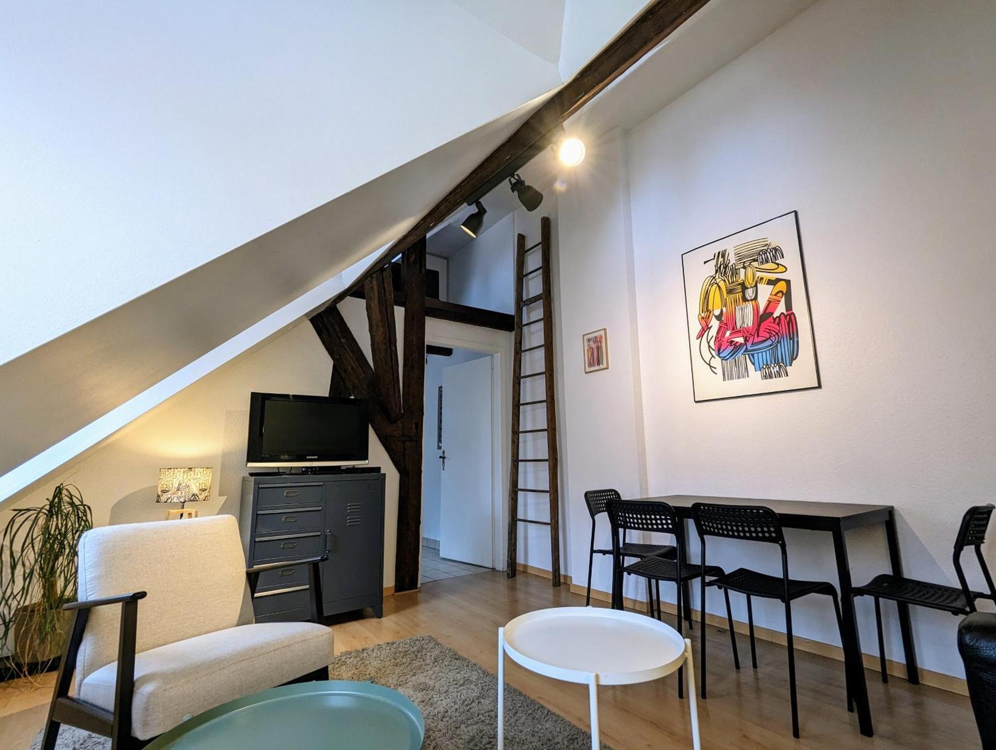 Appartement Des Serruriers Страсбург Экстерьер фото
