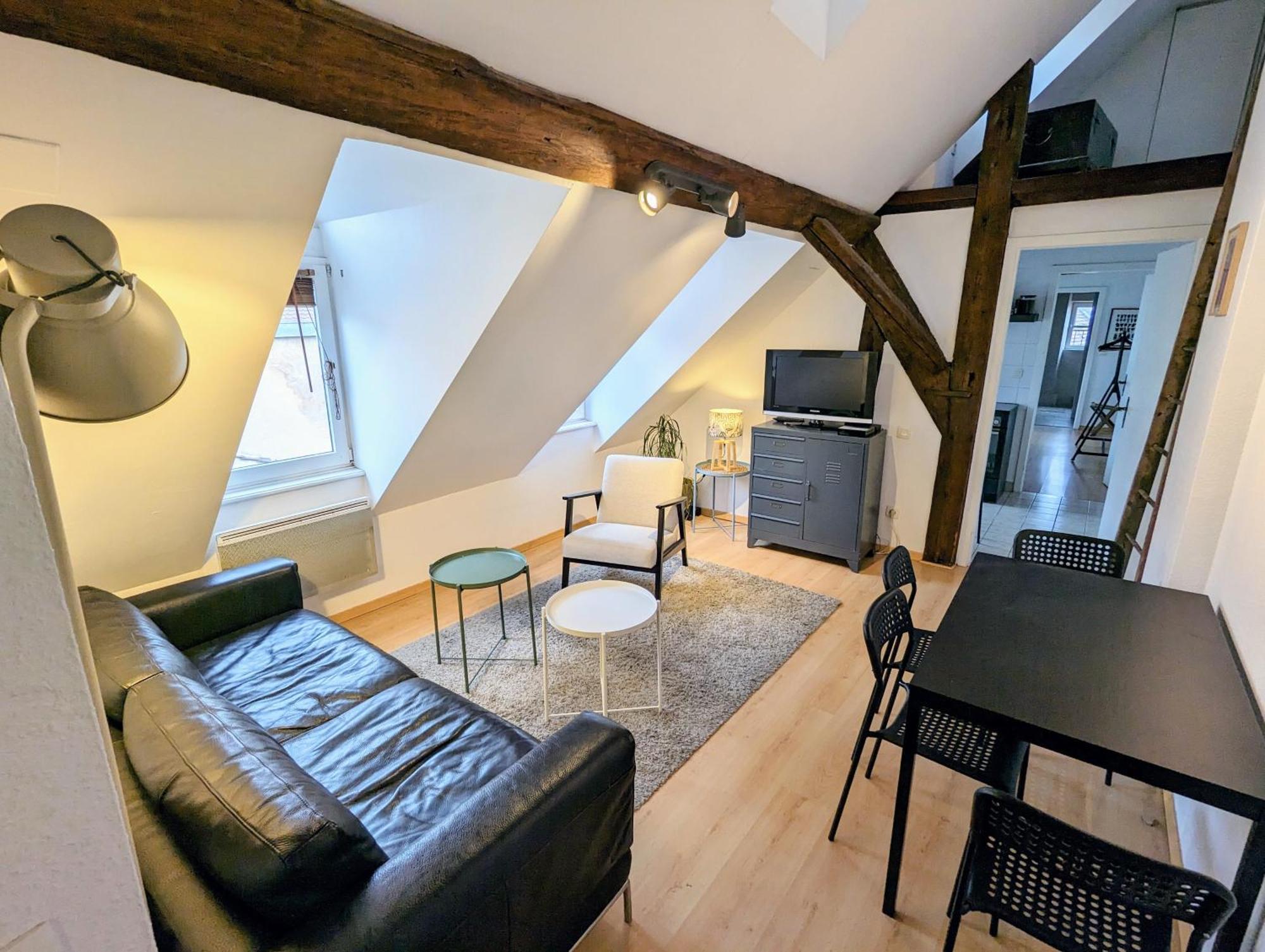 Appartement Des Serruriers Страсбург Экстерьер фото